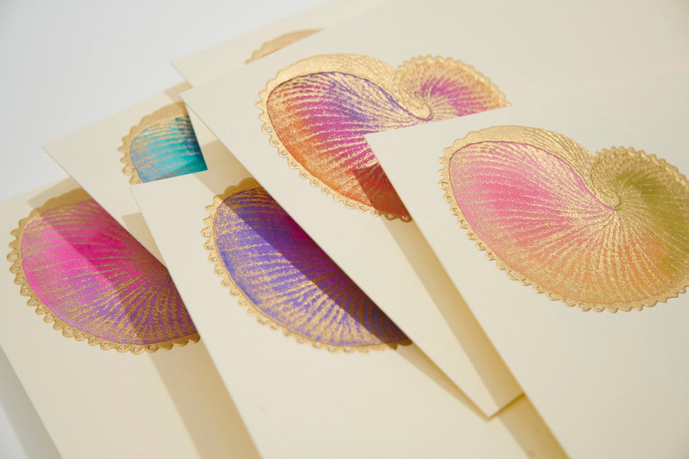 Nautilus Shells Hand-painted Notecards | Set of 8